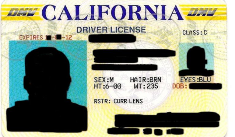 30 States Reportedly Working on Digital Driver’s Licenses