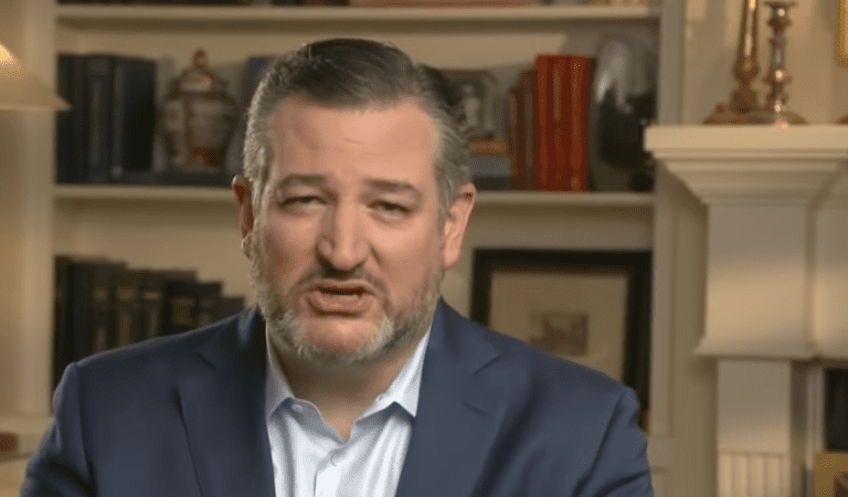 WATCH: Ted Cruz Has A Plan To Combat The Growing IRS Threat