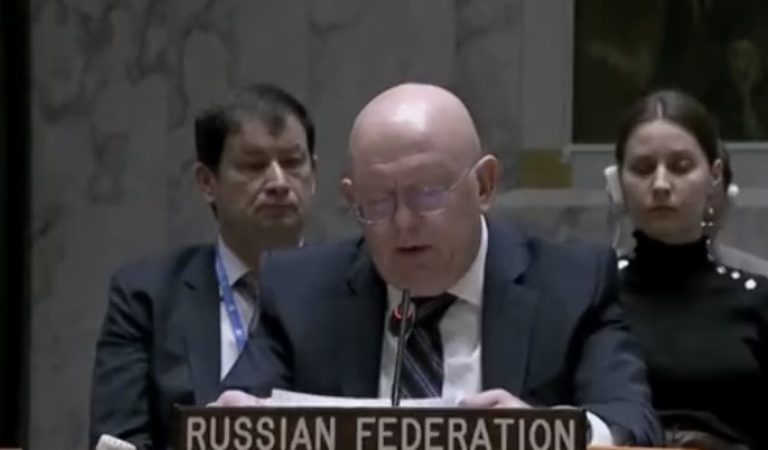 Russia Allegedly Presents Additional Evidence of U.S. Biological Research in Ukraine at UN Security Council Meeting (WATCH)