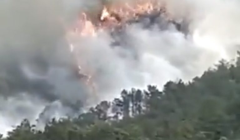 BREAKING: China Eastern Boeing 737-800 Plane Reportedly Crashes Into the Mountains; 132 Feared Dead