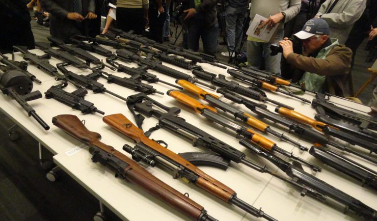 New York GOP Politician Asks American Citizens to Donate Their Guns to Ship Them to Ukraine