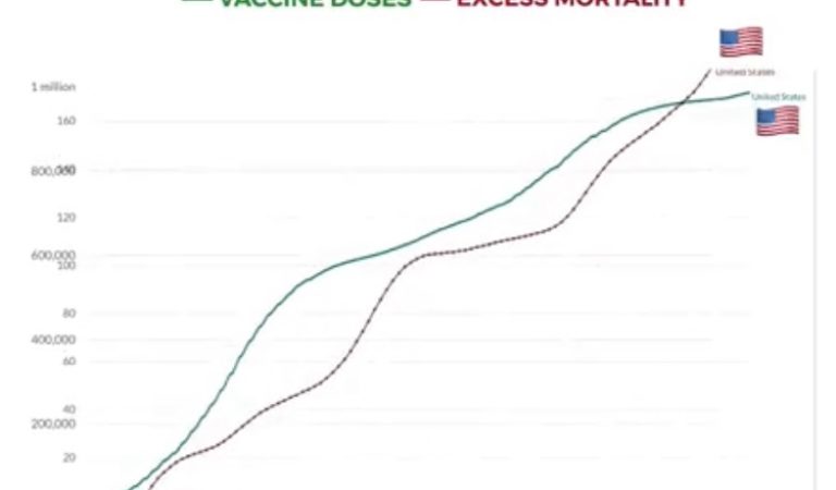 (WATCH) Visual Graphic Videos Present CLEAR, SHOCKING Data Comparing COVID-19 Injections and Excess Deaths