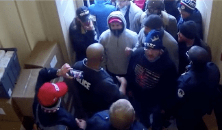 WATCH: High Quality Video CLEARLY Shows Capitol Police Ushering Protestors Into The Building