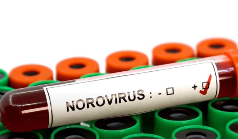 Norovirus Outbreak Occurs In Minnesota