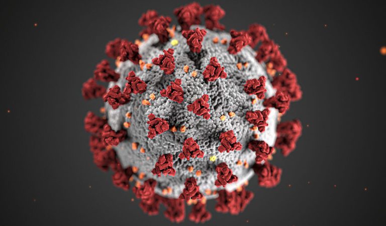 U.S. Department of Defense Awarded Contract for ‘COVID-19 Research’ in Ukraine Over 1 Month Before Emergence of Novel Coronavirus