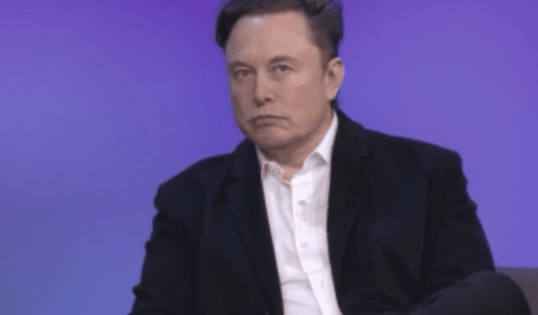 Elon Musk Predicts Political Attacks, Calls WSJ “Total BS”