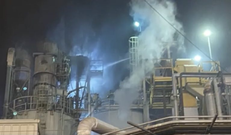 Another Fire at a U.S. Food Facility, Industrial Fire at Chesapeake Perdue Farms Facility