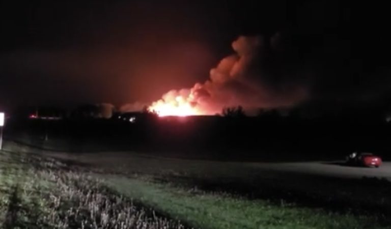 Large Fire at Minnesota Commercial Egg Farm Likely Killed Thousands of Chickens