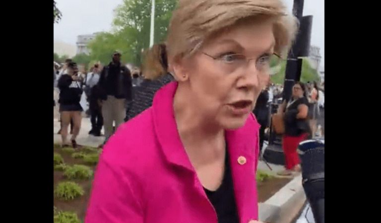 Video Shows Democrat Senator Elizabeth Warren Getting TRIGGERED By Pro-Lifer