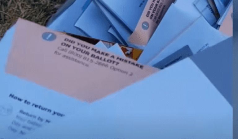 Woman Walking Dog Found Over 100 Mail-in Ballots