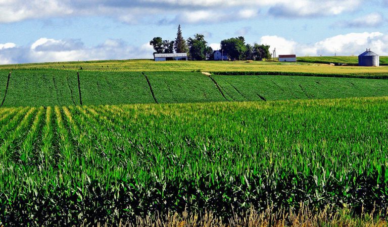 Soaring Fertilizer Costs Squeeze Midwest Farmers, Average Fertilizer Bill Increased $175,000 From Last Year