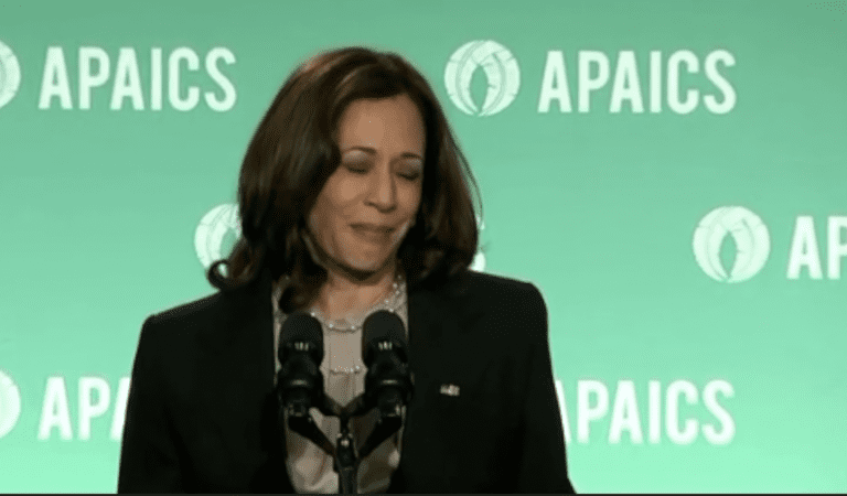 Crazy Kamala Suggests The Feds Killed Martin Luther King Jr.