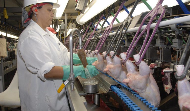 One of America’s Largest Chicken Producers Shuts Down Tennessee Plant
