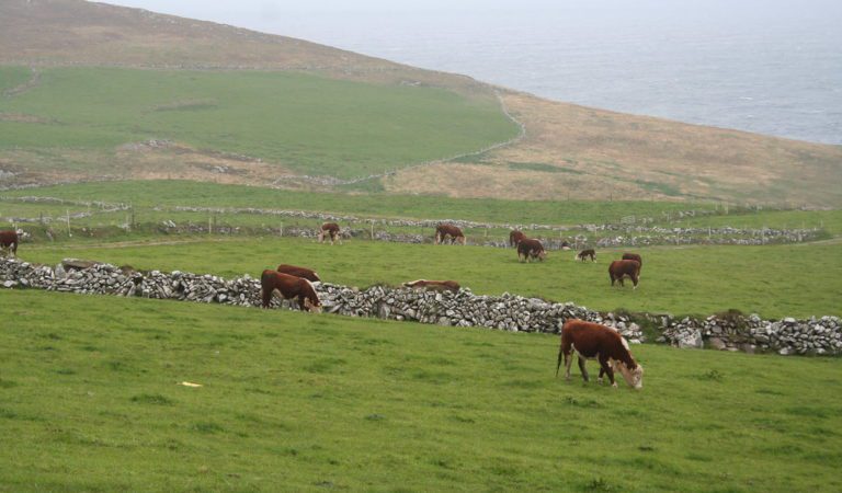 Lockstep? Ireland to Also Target Farmers with Carbon Emissions Cuts to Push Climate Change Agenda