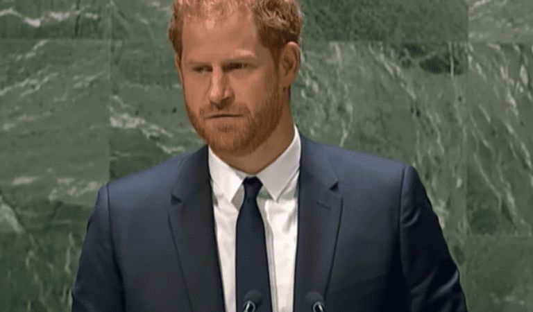 Prince Harry Says Disinformation Is Attacking Democracy At UN General Assembly