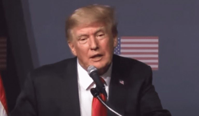 Constitutional Lawyers Make Seismic Claim About Mar-A-Lago Warrant