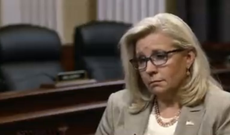 Liz Cheney Vows to Support Opponents of ‘Election Deniers,’ Even if They’re Democrats