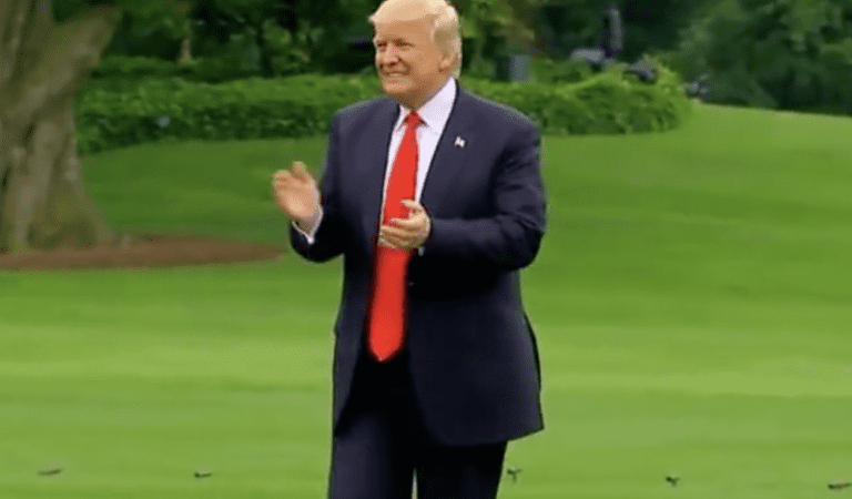 Trump Beats Biden +3 and DeSantis +29; Here’s How the Latest Polls Are Shaping Up