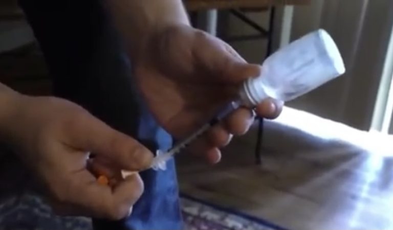 Florida Drug Bust: Enough Fentanyl to Kill 1.5 Million People