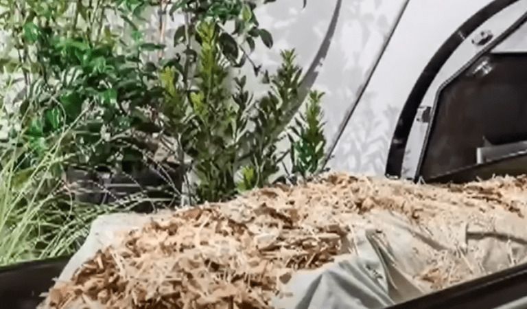 California Legalizes Human Composting