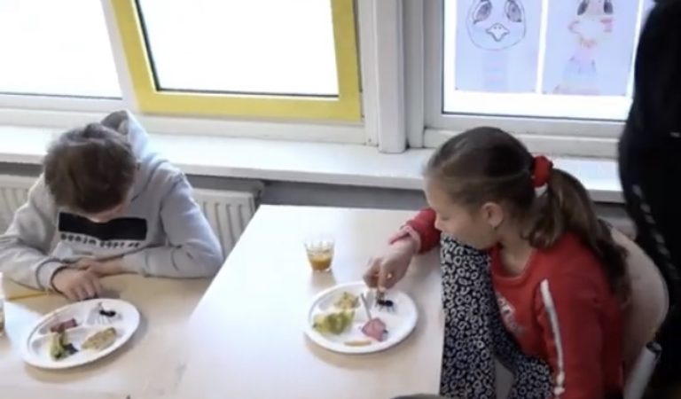 Mealworm & Insect Diet Introduced to Netherlands Children (VIDEO)