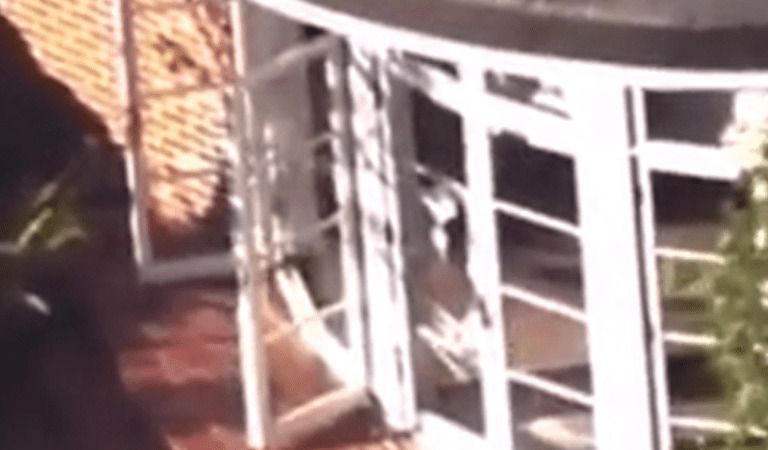 Drone Footage Of Pelosi’s House Break In Released!
