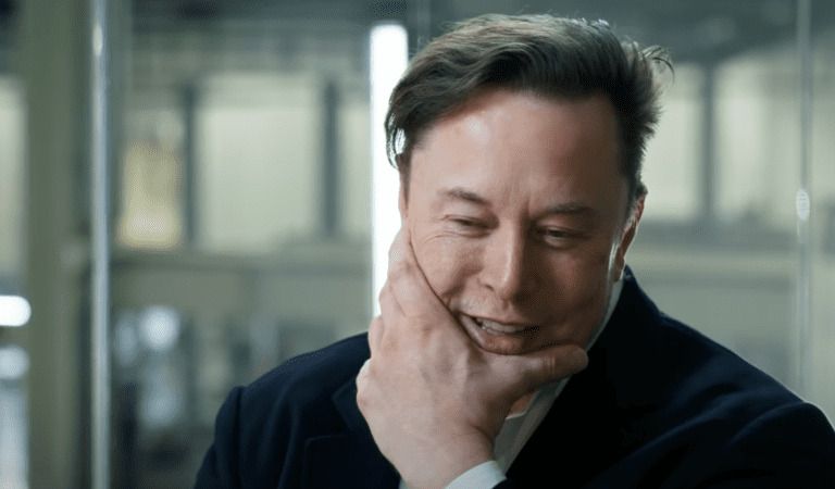 Elon Musk and Steve Bannon Go At It