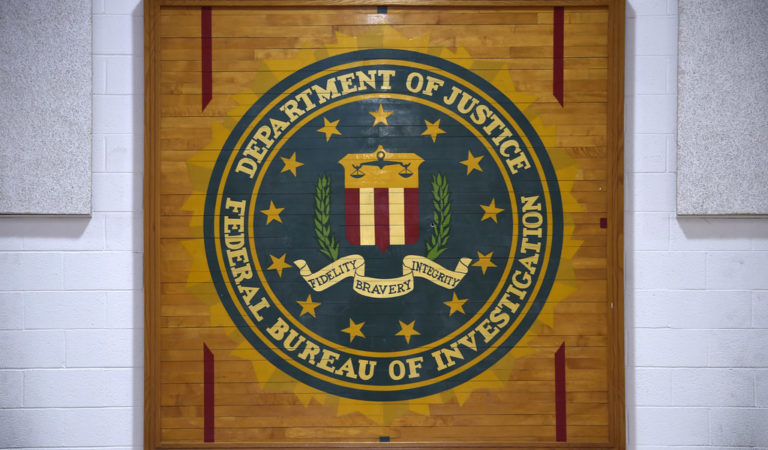 FBI Secret Gun Grab Program REVEALED