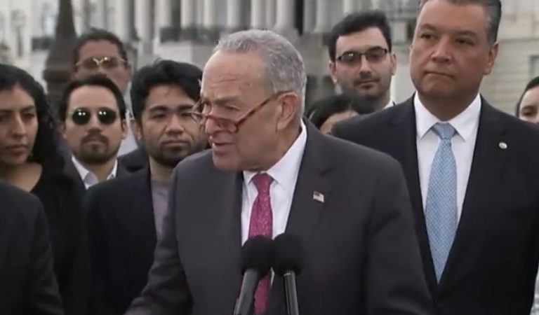 Chuck Schumer Calls for Blanket Amnesty for Millions of Illegal Aliens: ‘We Have Population Not Reproducing on Its Own’