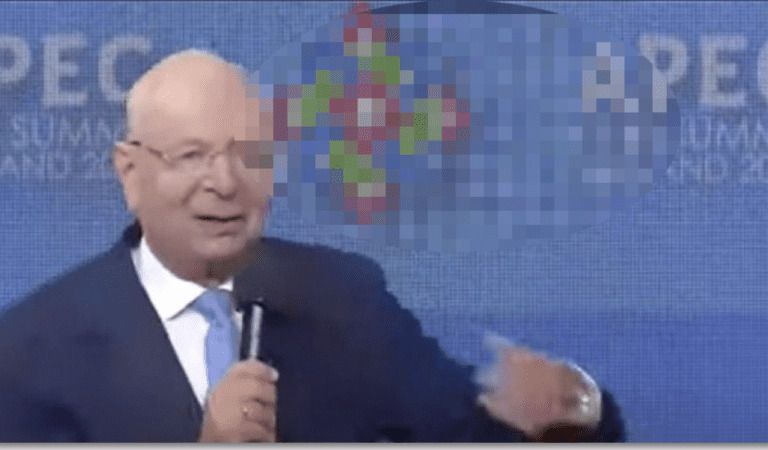 FACT-CHECK: Is Klaus Schwab Now Using a NAZI Symbol?