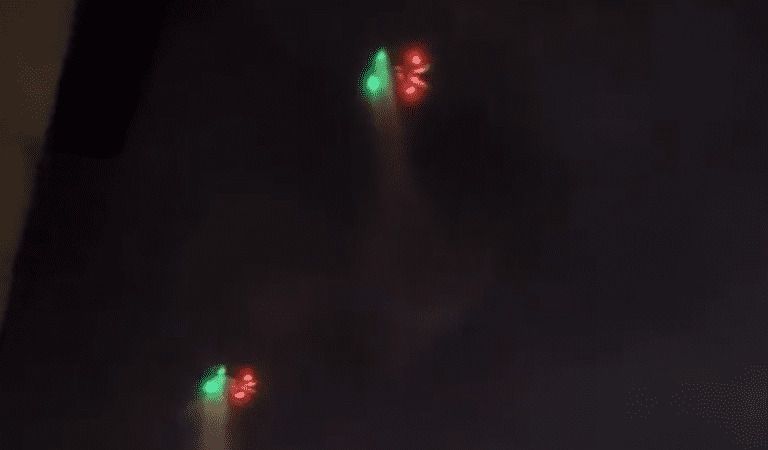 Espionage: Hundreds Of Chinese Drones Spotted In DC
