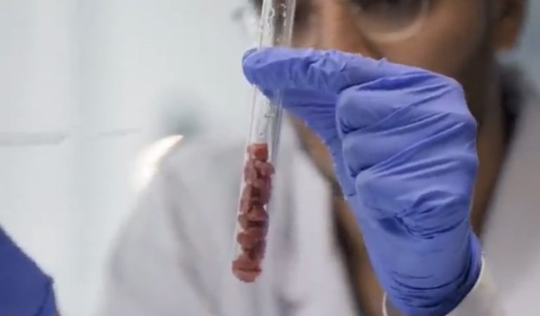 Israeli-Based 3D-Printed Lab-Grown Meat Company to Build World’s Largest Production Facility in North Carolina