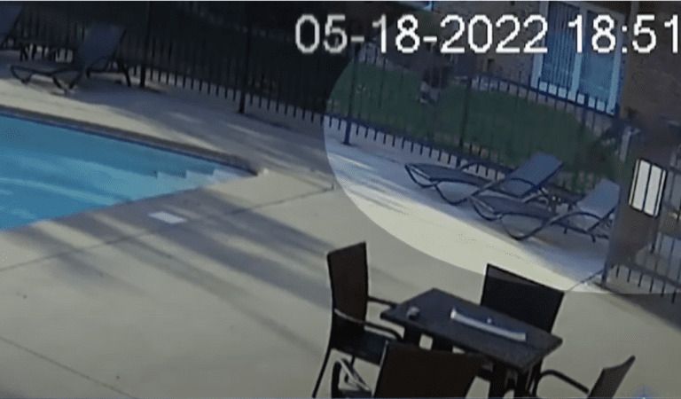 Man Jumps Fence To Save Drowning Four-Year-Old Boy