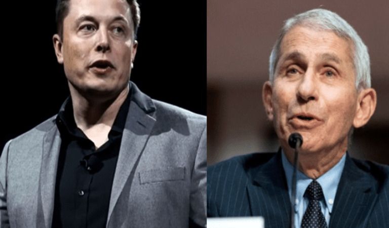 Elon Musk Makes Huge Disocvery About Dr. Fauci’s Wife