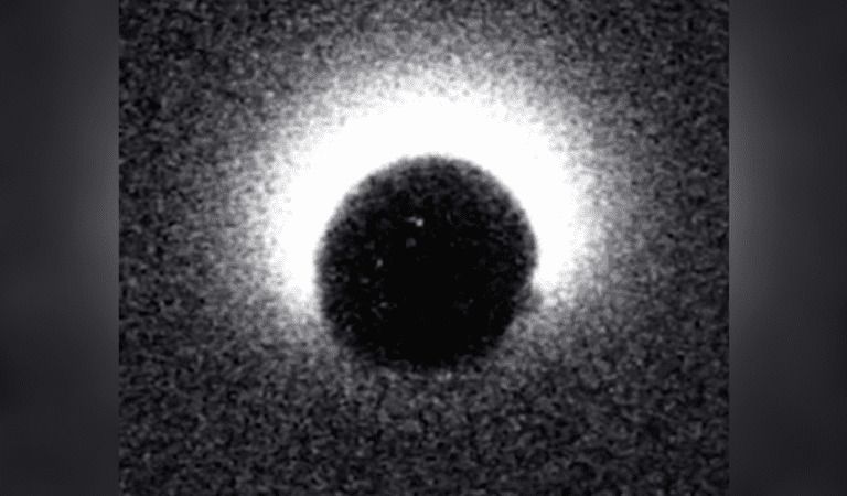 INCREDIBLE: Scientists Capture “Flash of Light” That Occurs At Conception!