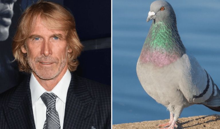 Hollywood Director Michael Bay Charged With Killing A Pigeon