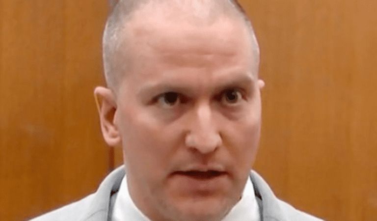 Derek Chauvin Appeals Murder Conviction of George Floyd