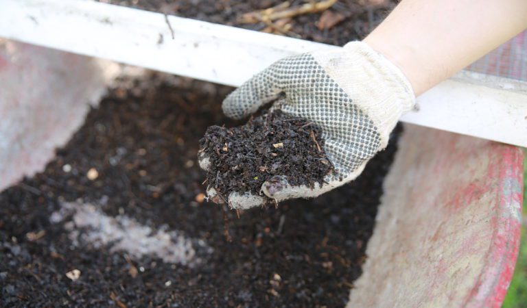 Blue State Becomes the 6th to Approve Composting With Human Remains