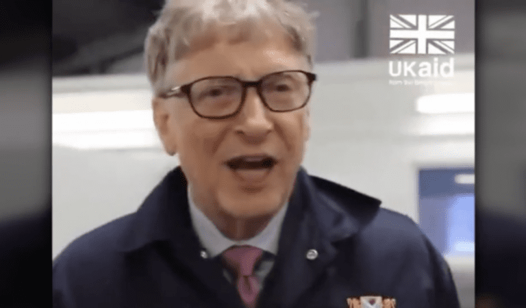 Bill Gates Working With DFID To Put The Poison Vaxx In Cattle!