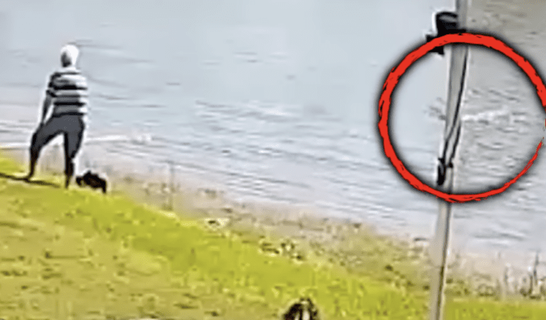 Horrific Alligator Attack On 85-Year Old Woman Caught On Camera