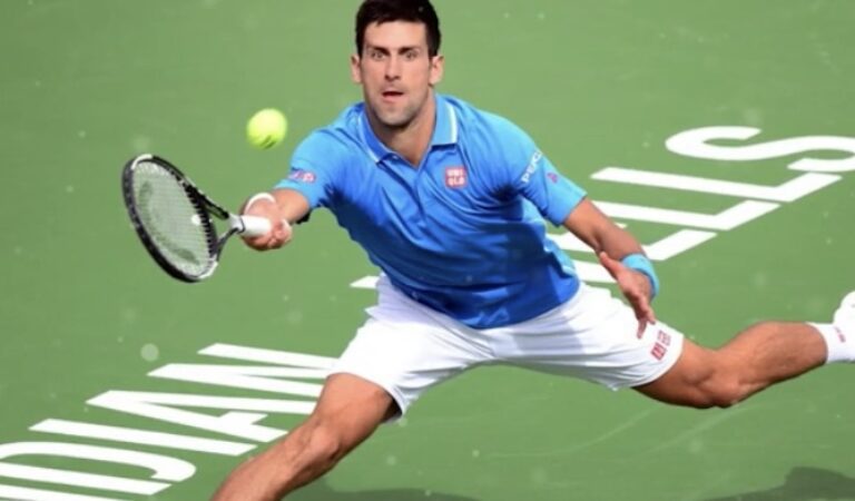 Pureblood Novak Djokovic Denied Entry Into U.S.