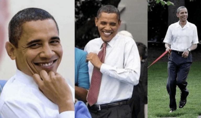 Barack Obama Gelding Euthanized